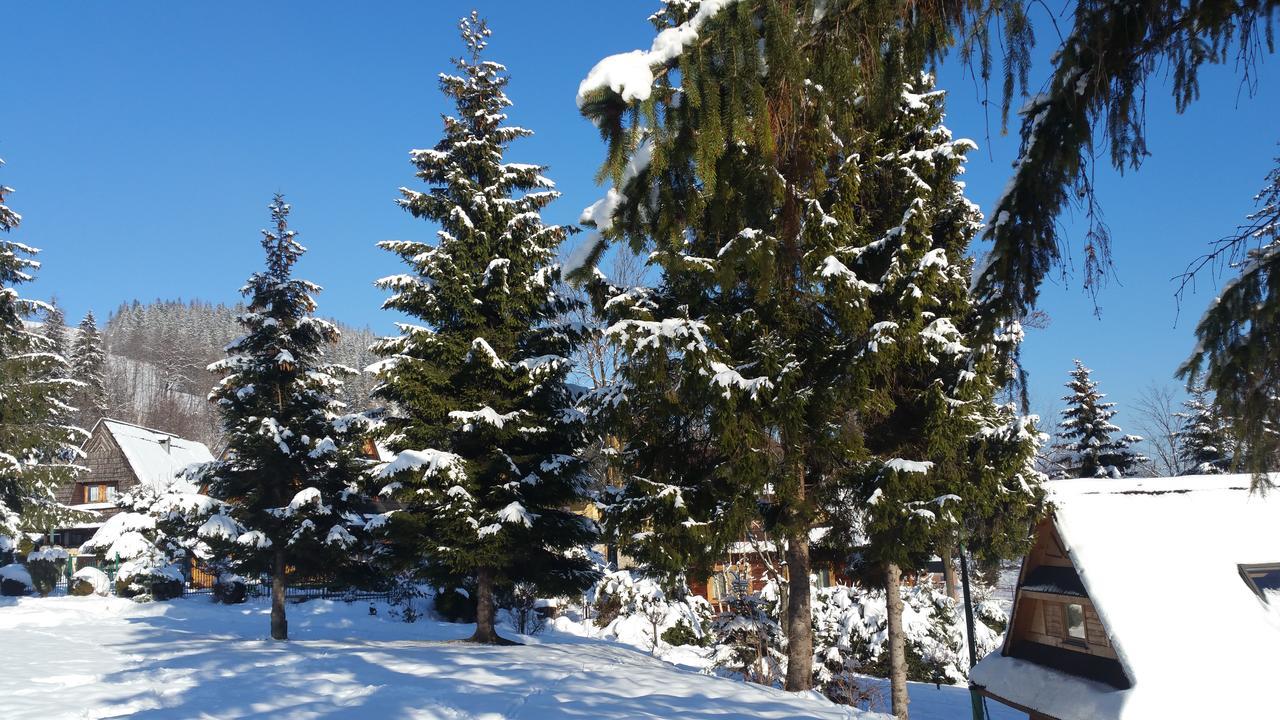 Homestay Camping Harenda Goscinne I