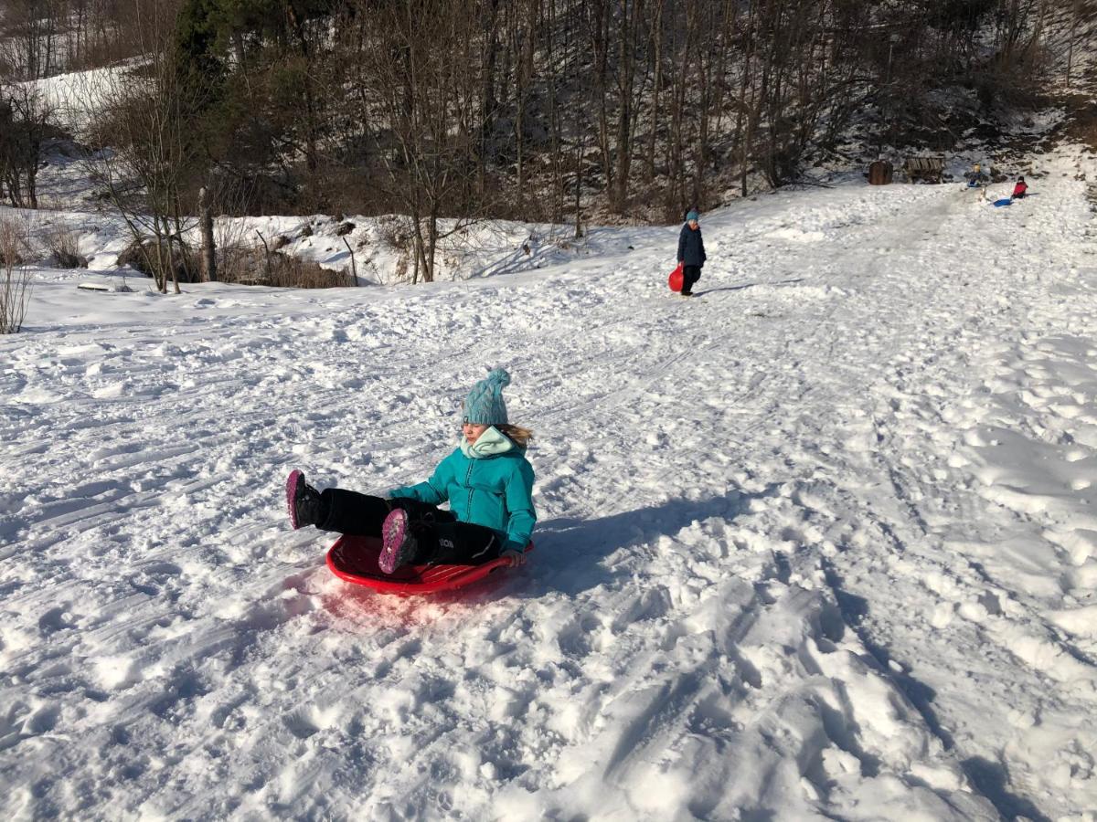 Homestay Camping Harenda Goscinne I Zakopane