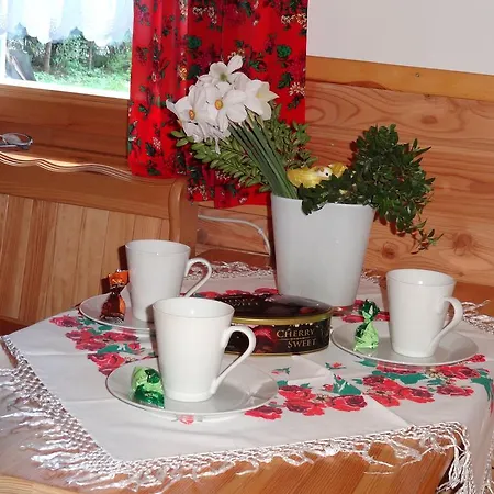 Camping Harenda Pokoje Goscinne I Domki Zakopane Exterior photo
