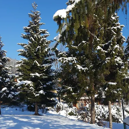 Camping Harenda Pokoje Goscinne I Domki Zakopane Exterior photo