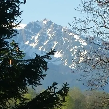 Camping Harenda Pokoje Goscinne I Domki Zakopane Exterior photo